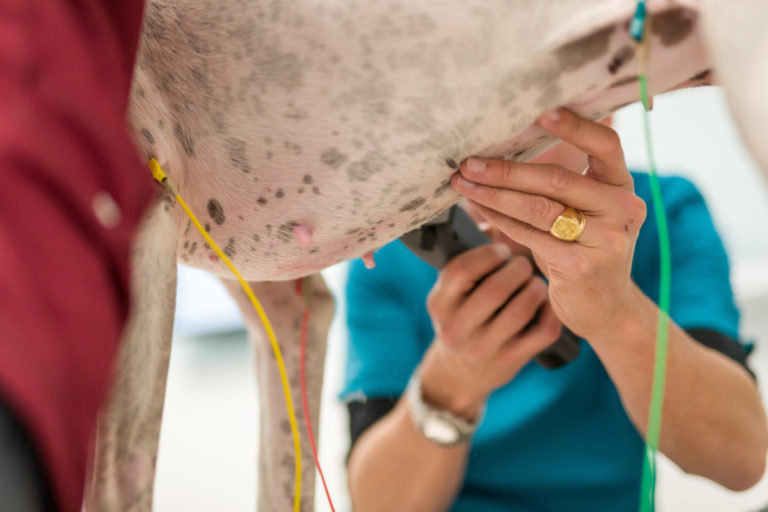 Ecocardiographie, pose des contacteurs